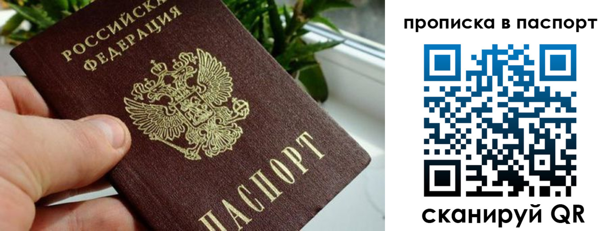 временная регистрация поиск в Гае